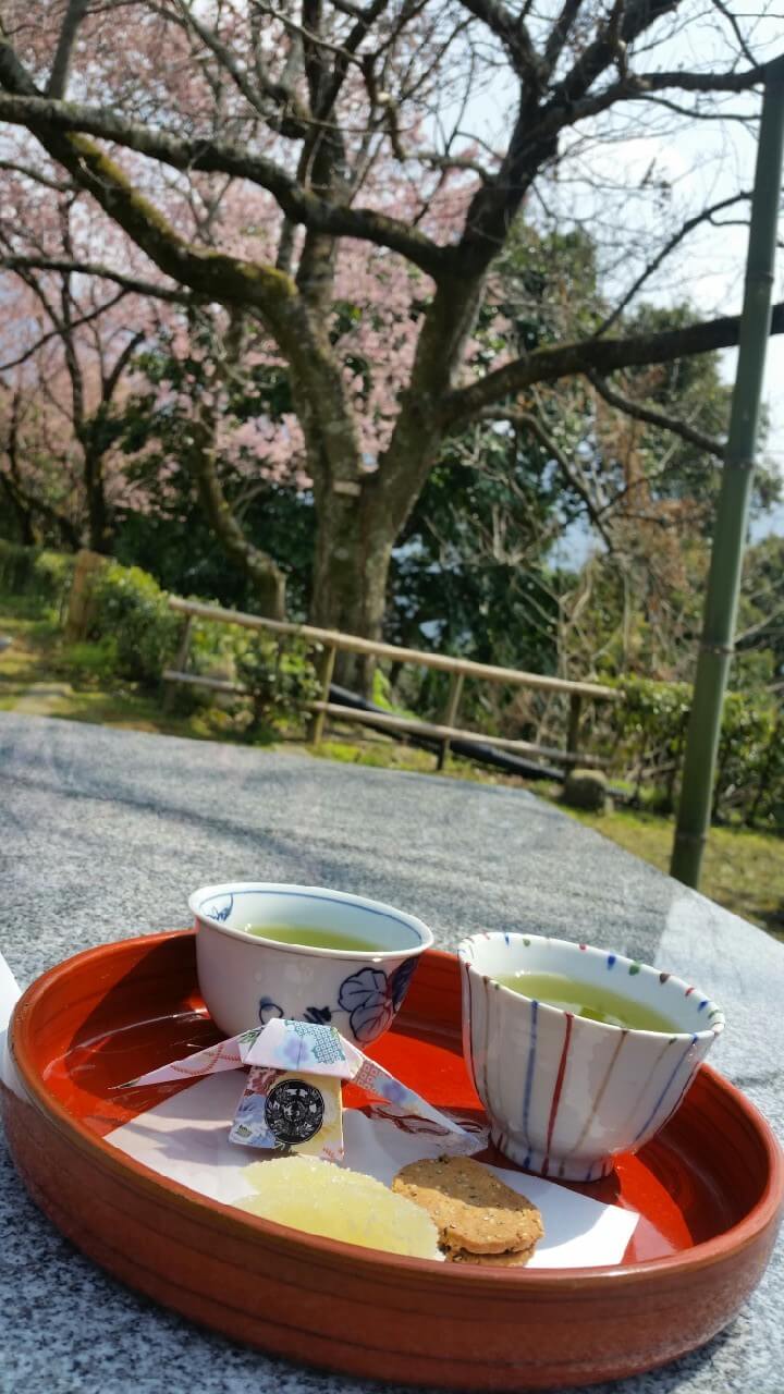 宇和島城での茶菓子