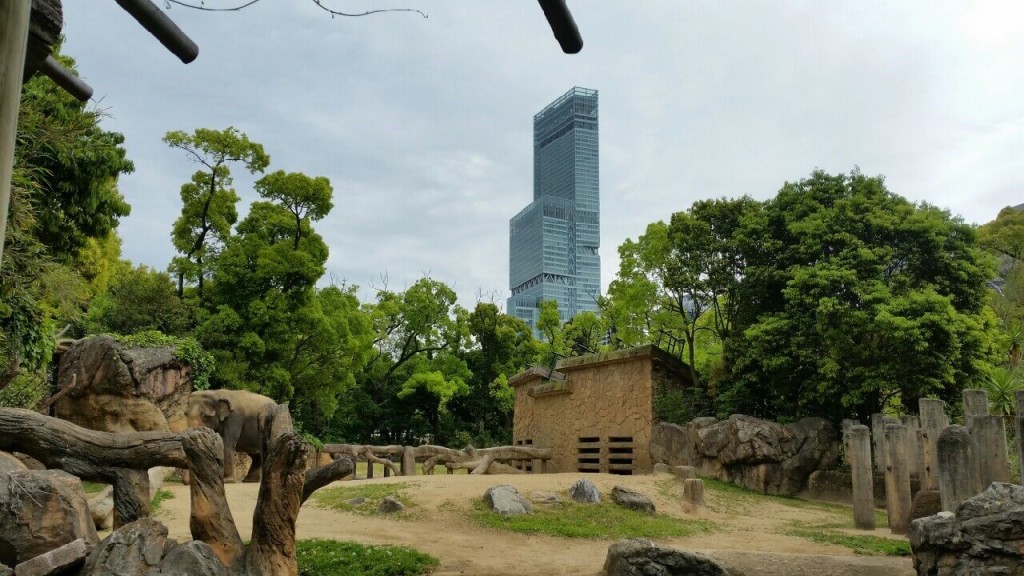 天王寺動物園から見るあべのハルカスがいい感じ | るむろん